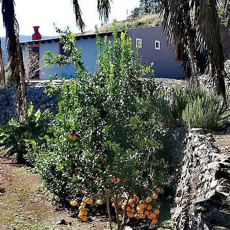 הוילה El Cedro Casa La Montana מראה חיצוני תמונה