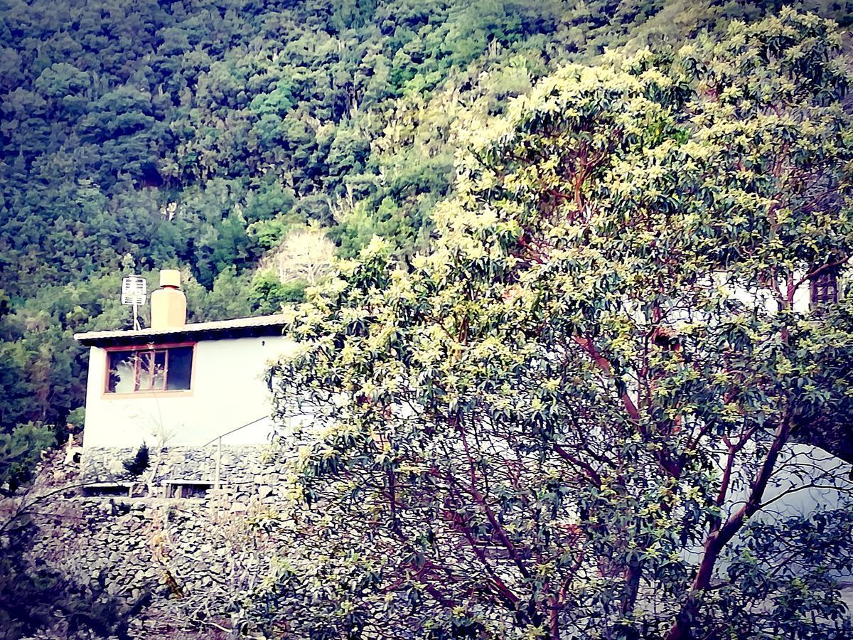הוילה El Cedro Casa La Montana מראה חיצוני תמונה